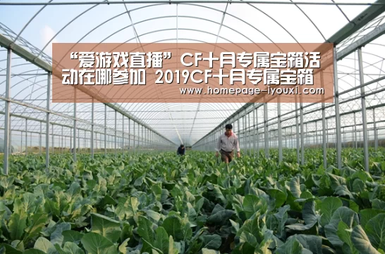 “爱游戏直播”CF十月专属宝箱活动在哪参加 2019CF十月专属宝箱活动地址(图2) 爱游戏娱乐