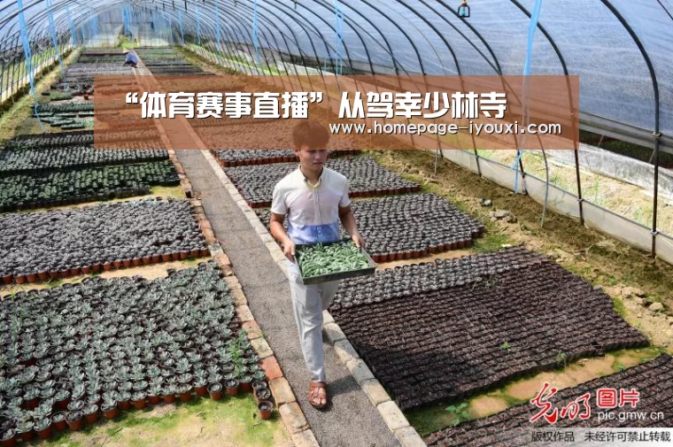 爱游戏体育直播